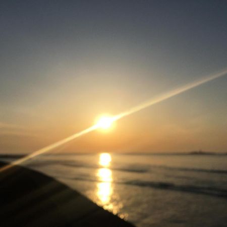 ゲストハウス たまのや Hyuga Dış mekan fotoğraf
